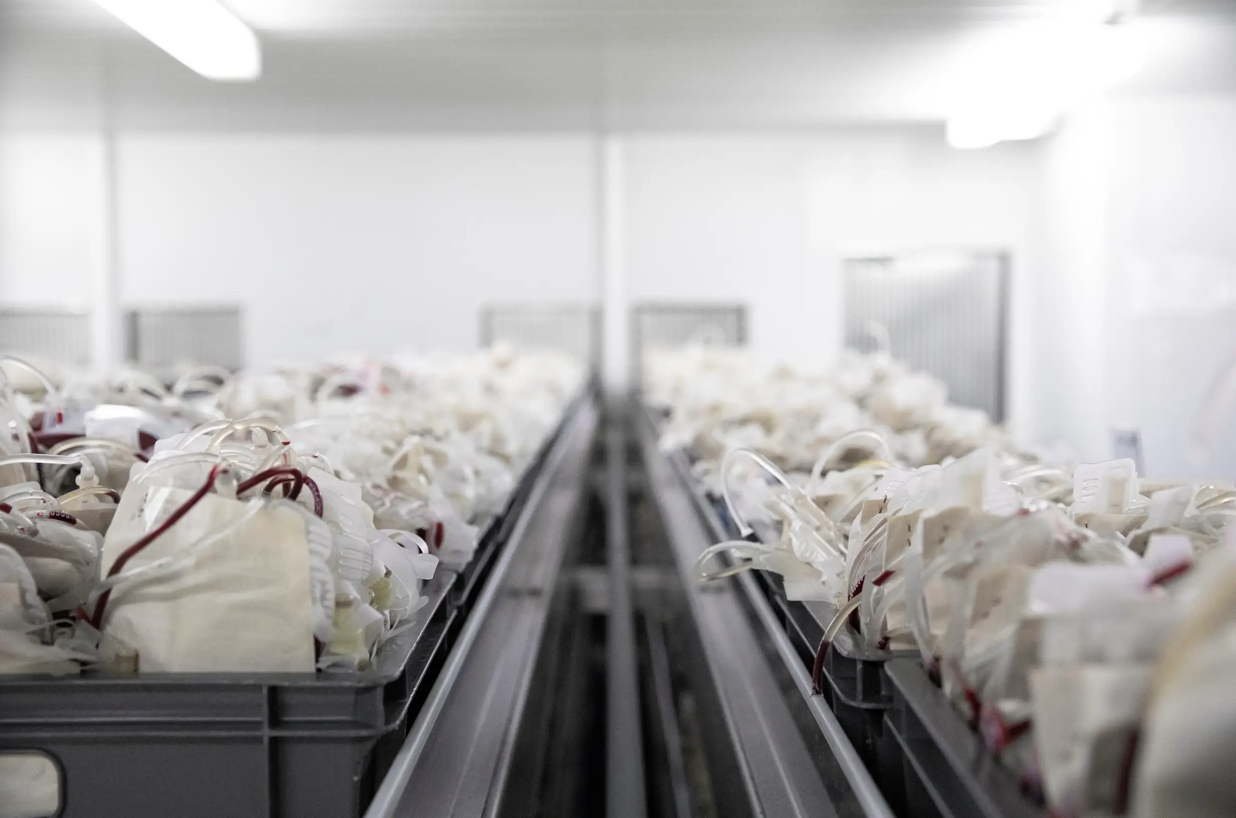 chemical cold room turkey