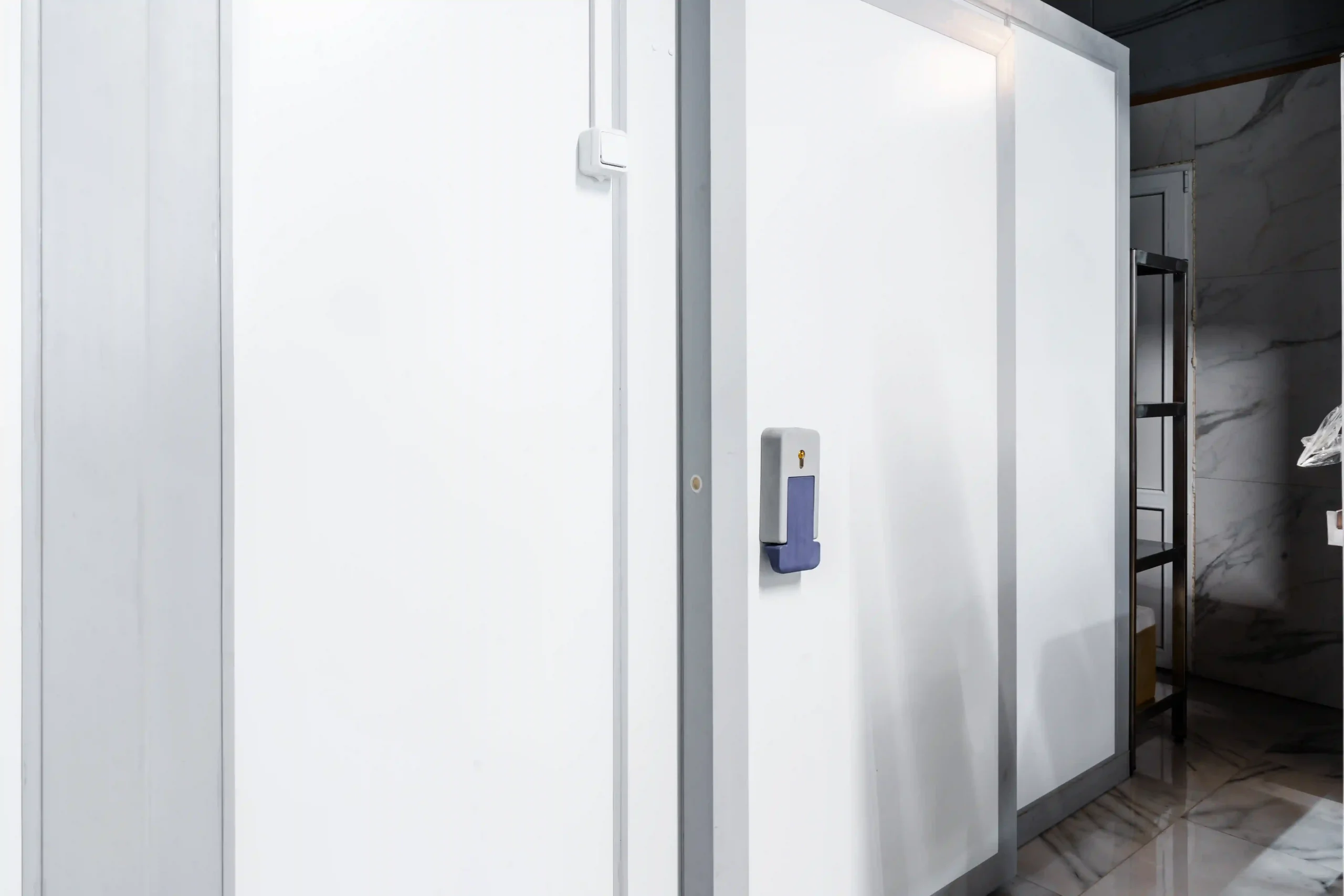 freezer room turkey made