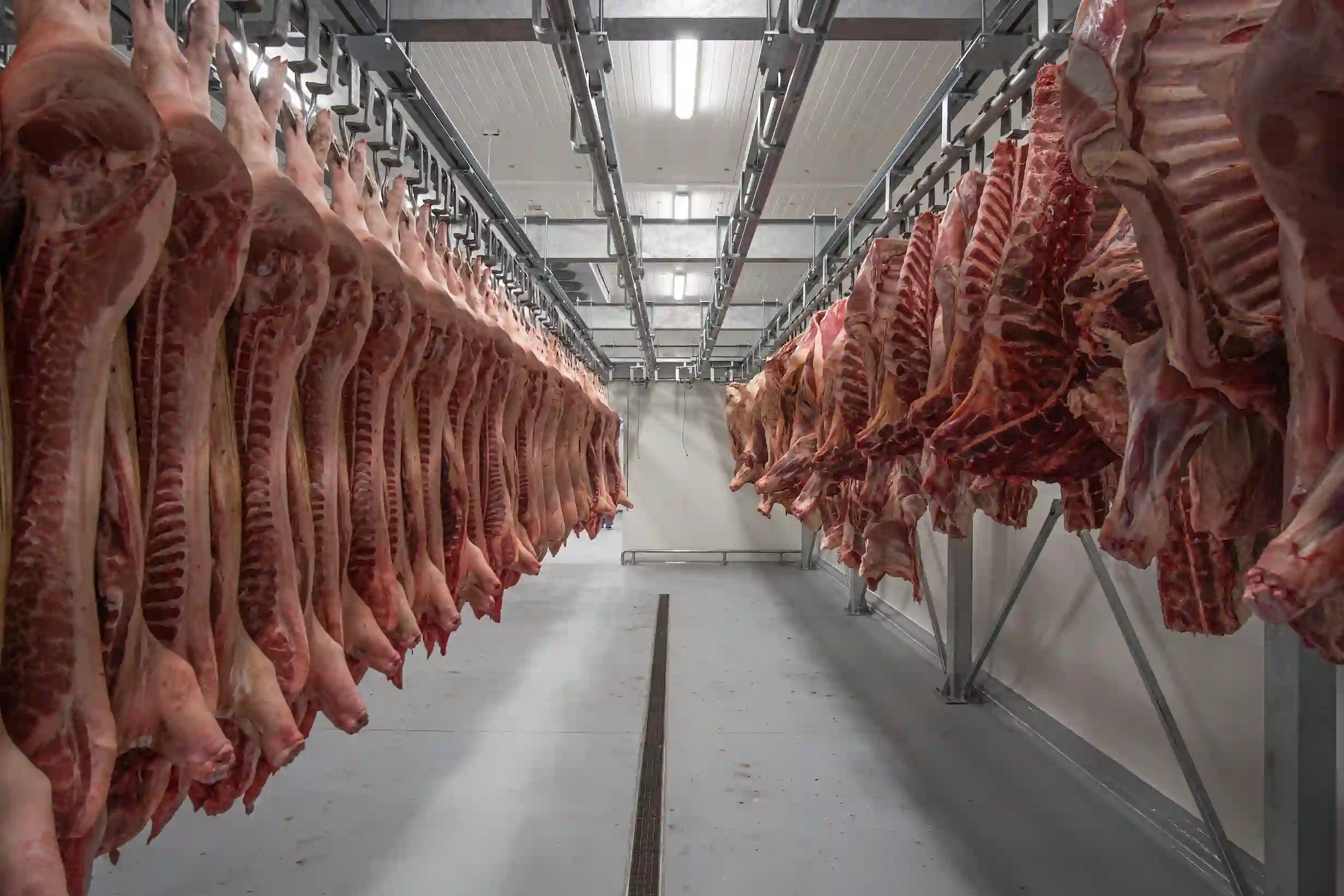 meat freezer room