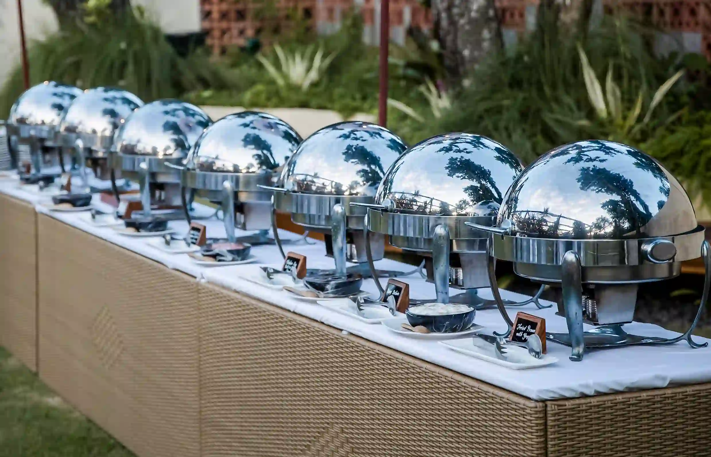 turkey open buffet counter