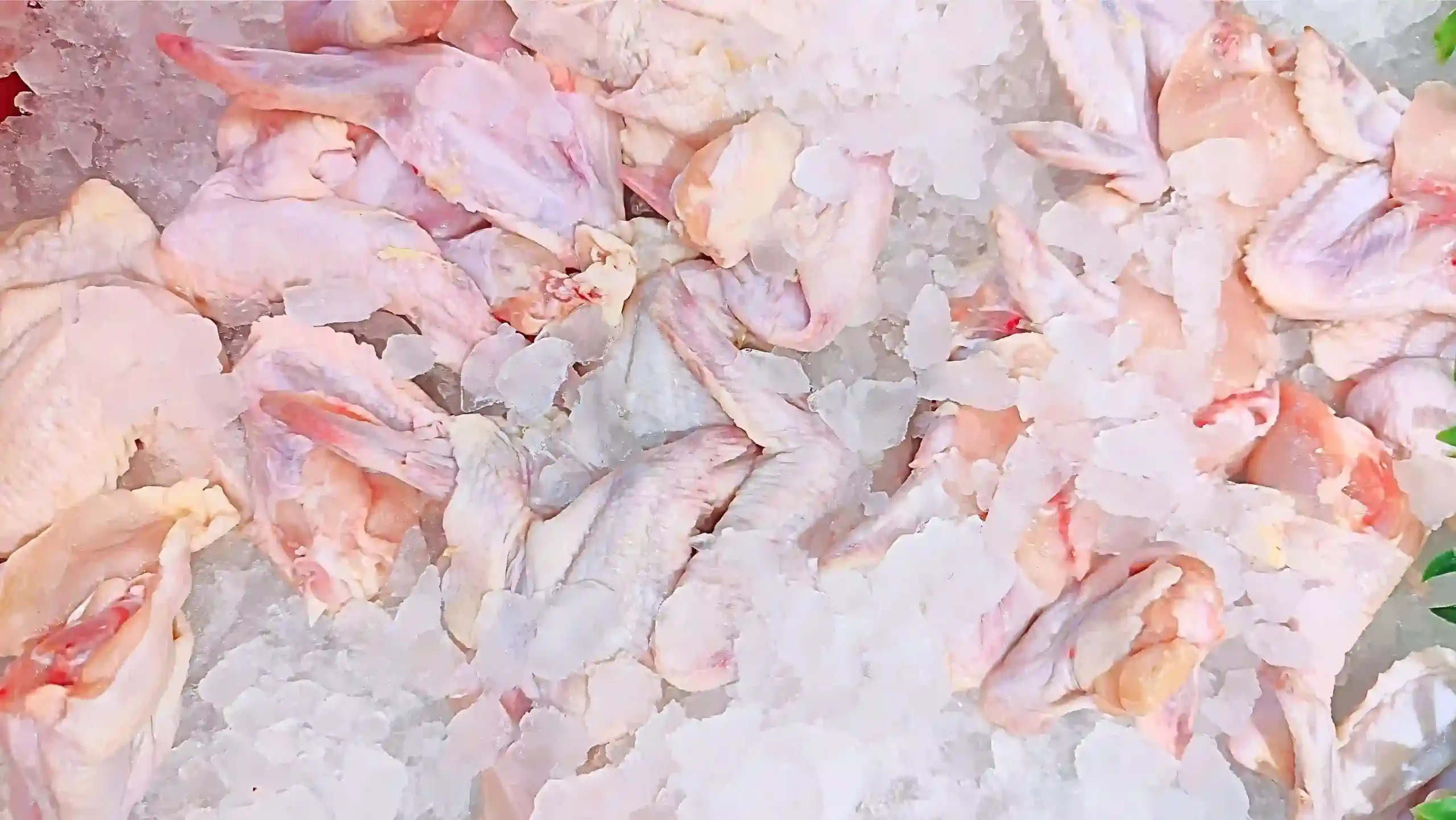 fish freezer room turkey